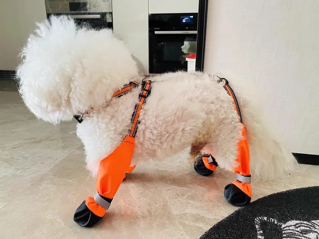 Adjustable Dog Suspender Boots with Attached Waterproof Paw Protectors, Non-Slip Summer Hiking Shoes for Rainy Days and Night Safety with Reflective Design (Orange, L)