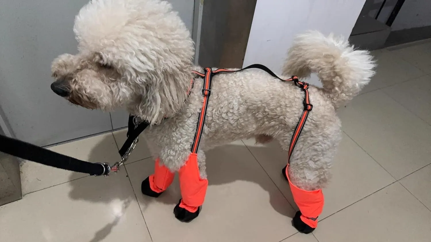 Adjustable Dog Suspender Boots with Attached Waterproof Paw Protectors, Non-Slip Summer Hiking Shoes for Rainy Days and Night Safety with Reflective Design (Orange, L)